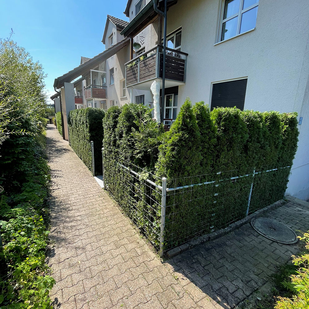 immotech-service, immobilien-service-schweiz, Gartenarbeit