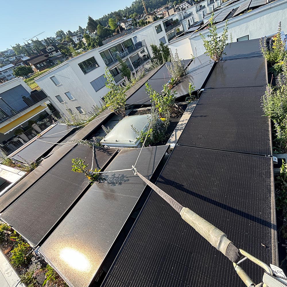 Immotech-Service: Solarzellen reinigen vorher